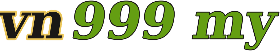 vn999 my logo